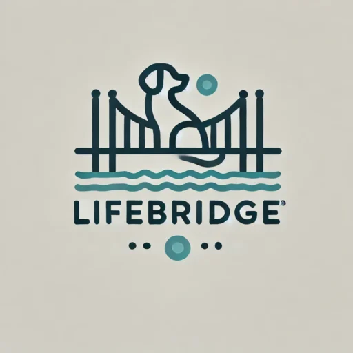 LifeBridge